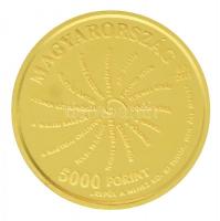 2017. 5000Ft Au "Arany János születésének 200. évfordulója" tanúsítvánnyal (0,5g/0.999) T:...