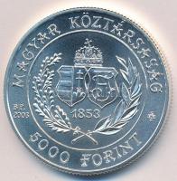 2003. 5000Ft Ag "Budapesti Filharmóniai Társaság" T:BU Adamo EM187 Tanúsítvánnyal