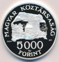 2004. 5000Ft Ag "Visegrádi vár" tanúsítvánnyal T:PP Adamo EM192