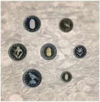 2008. 1Ft-100Ft (7xklf) "Búcsú az egy- és kétforintostól" forgalmi sor dísztokos szettben ...