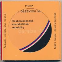 Csehszlovákia 1988. 5h-5K (7xklf) forgalmi sor, sérült karton tokban T:1  Czechoslovakia 1988. 5 Haleru - 5 Korun (7xdiff) coin set in damaged cardboard case C:UNC