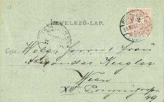 1899 Visegrád, vár, gőzhajó. Divald Károly 22. sz. (EK)