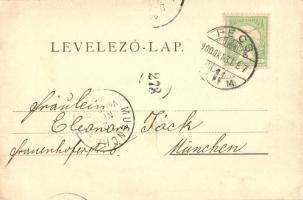 1900 Pécs, Sétatér, felvonulás, ünnepség. Kiadja Fischer Ferenc. Rechnitzer Ottokár fénynyomdája (EK...