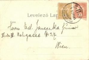 1902 Budapest, Eskü téri híd (Erzsébet királyné híd), gőzhajók. litho (EB)