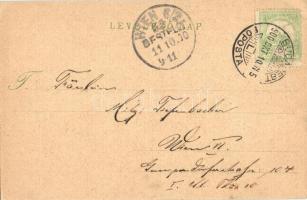 1900 Budapest XIV. Városliget, Vajdahunyad vára (EK)