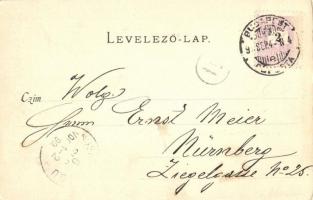 1899 Budapest I. Kilátás a várkertből. Divald Károly 53. sz. (EK)