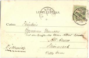 1903 Budapest XIII. Margitszigeti kikötő. Divald Károly 57. sz. (fl)