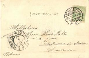 1903 Budapest XIII. Vígszínház. Ganz Antal 98. (EK)