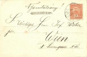 1904 Budapest I. Kilátás a Gellérthegyről, Királyi vár, Lánchíd, Tabán, Szenes Ede üzlete, Tabáni bo...