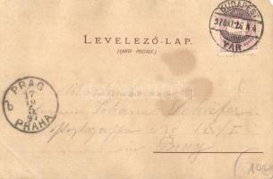 1897 (Vorläufer) Budapest, látkép, Lánchíd, Bazilika, Vigadó, Andrássy út, lóvasút, gőzhajó. Müller ...