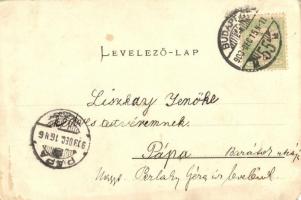 1903 Budapest, Ferenc József híd. Ganz Antal 72. (EM)