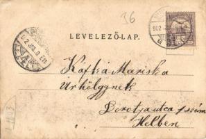 1902 Budapest III. Római fürdő, Berczik István minisztériumi számtanácsos nyaralója, villa (r)