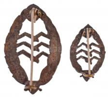 Ausztria DN "ÖAEC (Osztrák Aero Klub)" részben zománcozott fém jelvény (46x29mm) + DN &quo...