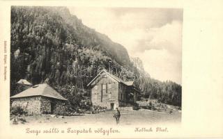 Tátra, Magas Tátra, Vysoké Tatry; Zerge szálloda a Tarpataki völgyben. Schmidt Edgar kiadása / Kohlbach Thal / Hotel Gemse, Velká Studená dolina, chalet