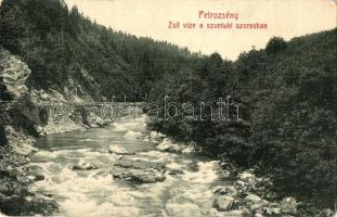 1915 Petrozsény, Petrosani; Zsil vize a szurduki szorosban. W. L. Bp. 1697. / Pasul Surduc, Jiu riverbank (EK)