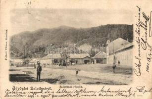 1901 Zalatna, Zlatna; utcakép, üzletek. Kiadja Folbert Vilmos / street view, shops (EK)