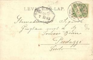 1903 Brassó, Kronstadt, Brasov; Weisser Thurm und Schlossberg. Verlag H. Zeidner No. 5. / Fehér toro...