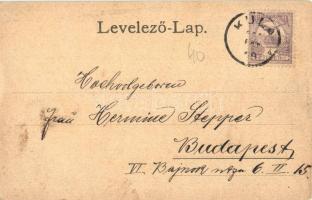 1900 Kúla, Bács-Kula, Kula; Telecska a tűztoronnyal, látkép délről, Első magyar selyemszalag gyár, v...