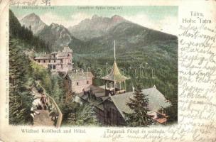 4 db RÉGI történelmi magyar városképes lap: 3 Tátra és egy Icici / 4 pre-1945 Histroical Hungarian t...