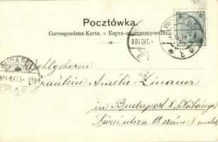 1904 Przemysl, Rynek i Sad / Ringplatz und Gerichtsgebäude / square, market vendors, shops, court (E...