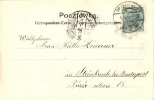 1904 Przemysl, Ogólny widok Przemysla / Totalansicht / general view, bridges (EK)