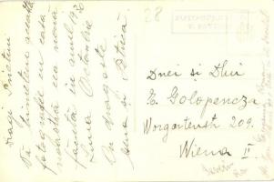 Turnu Severin, Szörényvár; villa, castle. Splendid photo