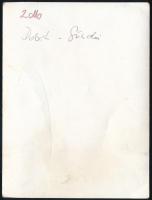 Tolsztoj és felesége Jasnaja Poljan 1910-ben, modern előhívás, 11,5×8,5 cm