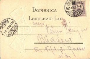 1900 Zagreb, Zágráb; Mesnicka ulica / street view. Coat of arms. Emb. litho. Rob. Ferd. Auera (EK)