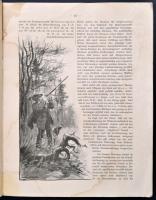 1916 Waldmannsheil német vadászújság