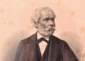 1880 Arany János (1817-1882) költő, tanár, Kisfaludy Társaság igazgatója, MTA főtitkár arcképe, nyom...