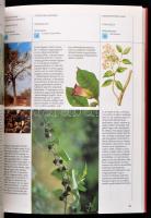 Rätsch, Christian: A szerelem füveskertje. Az afrodiziákumok a mítoszokban, a történelemben és napja...