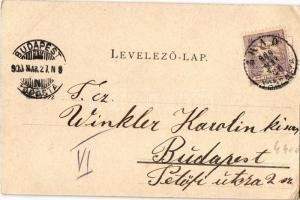 1900 Arad, Baross parki kioszk / kiosk (EK)