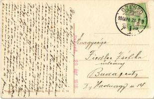 1916 Skiing, winter sport. Vouga & Cie. No. A. 14. litho s: Pellegrini (EK)