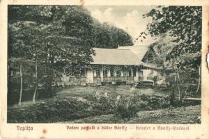 Maroshévíz, Toplita; Vedere partiala a bailor Bánffy / Bánffy fürdő. Kiadja Walter Ede Nr. 4. / spa villa, bathing house (b)