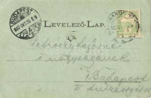 1902 Máramarossziget, Sighetu Marmatiei; Fő tér, üzletek. Kiadja Berger Miksa / main square, shops (...