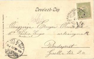 1905 Gyertyánliget, Polyána-Gyertyánliget, Kabola Polyána, Kobyletska Poliana (Máramaros, Maramures)...