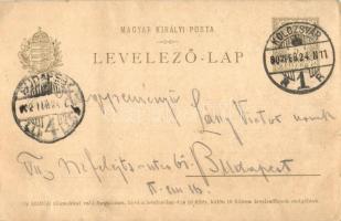 1902 Kolozsvár, Cluj; vasúti híd, viadukt építése Kolozsvár közelében / construction of a railway br...