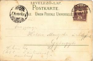 1901 Kecskemét, Piac tér, templomok. Fekete Mihály kiadása. Flora, litho