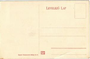 Budapest XI. Kelenföld, Wehrmann vendéglő kerthelyisége, Fehérvári út 46. (fa)