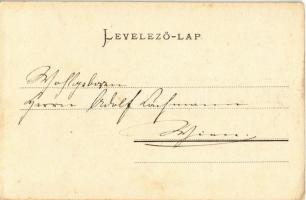 1900 Balatonfüred, gyógykút, savanyúvíz szállítás. Pósa Endre kiadása (EK)