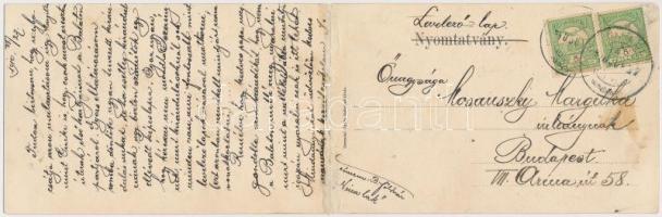 1910 Balatonföldvár, part a fürdőkabinokkal, csónakázó és fürdőző emberek. Gerenday Gyula kiadása, p...