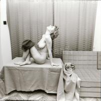 cca 1977 Retro hangulatban, szolidan erotikus felvételek, 7 db vintage negatív + 1 db mai nagyítás, ...