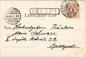 1898 (Vorläufer!) Resica, Resita; vasgyár, igazgatósági épület / Direktions Gebäude / iron works, fa...