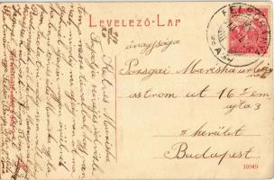 1918 Felsőbánya, Baia Sprie; utcakép, Takarékpénztár, Zárda. H. Riedl E. kiadása / street view with ...