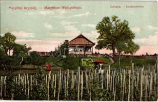 1911 Margitta, Marghita; Margittai-hegység, szőlőhegy, Calvaria villa / Margittaer Weingebirge, Schweizerhaus / vineyard, wine house