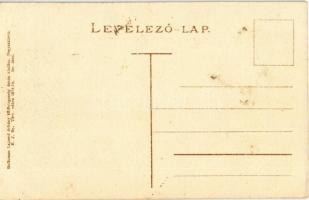 Nagyszalonta, Salonta; Látkép, piac, zsinagóga, erkély kürtössel. Hoffmann Lajosné kiadása / general...