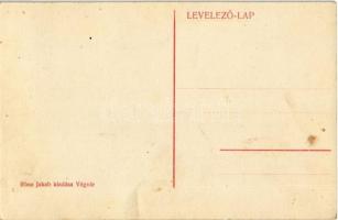 Végvár, Tormac; Utca részlet a községházával. Róna Jakab kiadása / street view with town hall