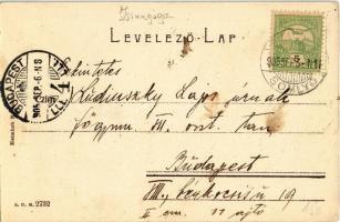 1905 Szilágysomlyó, Simleu Silvaniei; Rákóczy utca, zsinagóga, Löwy Benj., Ruszka Ignác és Dull Albe...