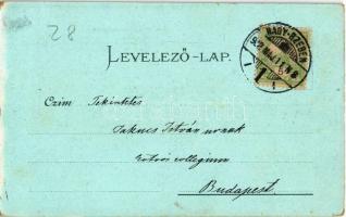 1902 Nagyszeben, Hermannstadt, Sibiu; Szeminárium, Teutsch püspök szobra / Denkmal des Bischofs D.G....