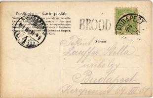 1906 Bród, Nagyrév, Slavonski Brod, Brod na Savi; vasútállomás, vonat / Bahnhof / railway station, t...